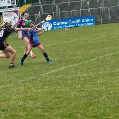 Caman 2 Leinster 2025