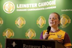 leinstercamogie-108