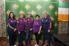 leinstercamogie-124