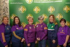 leinstercamogie-140
