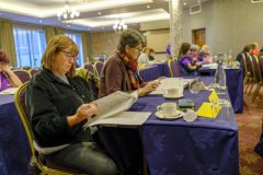 leinstercamogie-2