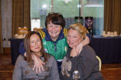 leinstercamogie-20