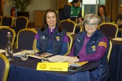 leinstercamogie-22