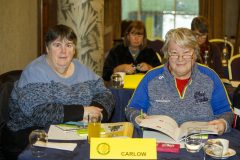 leinstercamogie-25