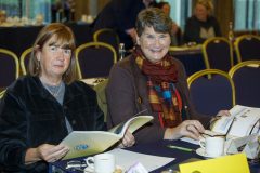 leinstercamogie-30