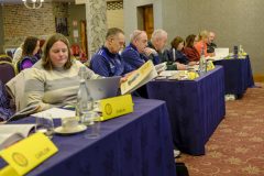 leinstercamogie-4