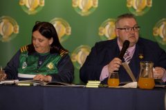 leinstercamogie-52