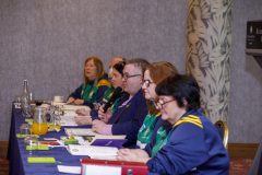 leinstercamogie-72