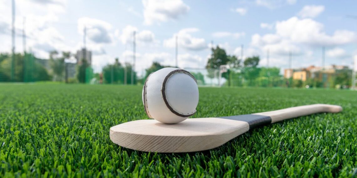 A sliotar on a hurl.