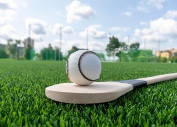 A sliotar on a hurl.