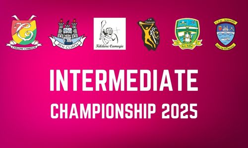 Leinster Intermediate Championship 2025