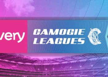 Very Camogie Leagues