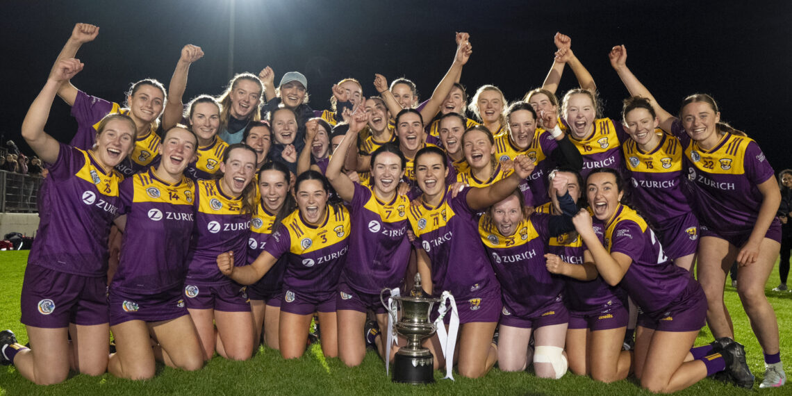 Wexford end 10 year wait to become Leinster Senior Champions