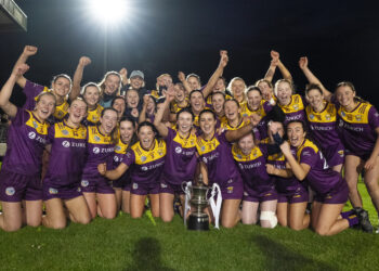 Wexford end 10 year wait to become Leinster Senior Champions