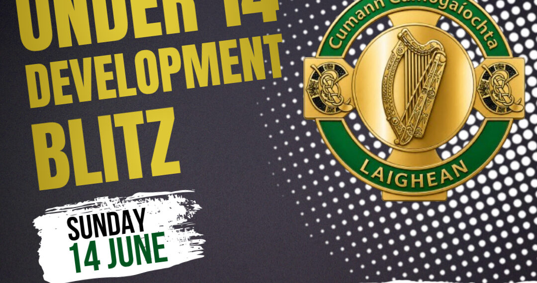 Annual Leinster Camogie Under 14 Development Blitz